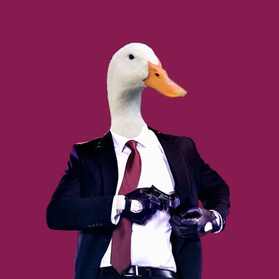 SirQuackins's profile