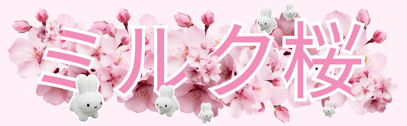 World of Anime
